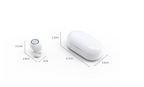 Macaron Wireless Bluetooth Headphones