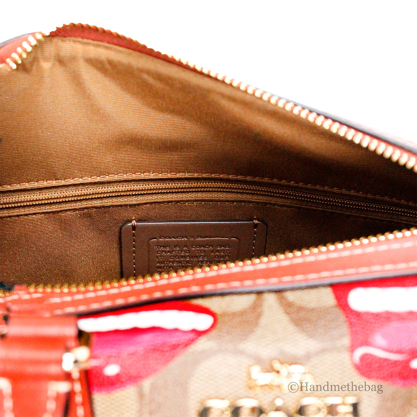 Coach X Tom Wesselmann Rowan Medium Leather Satchel Bag